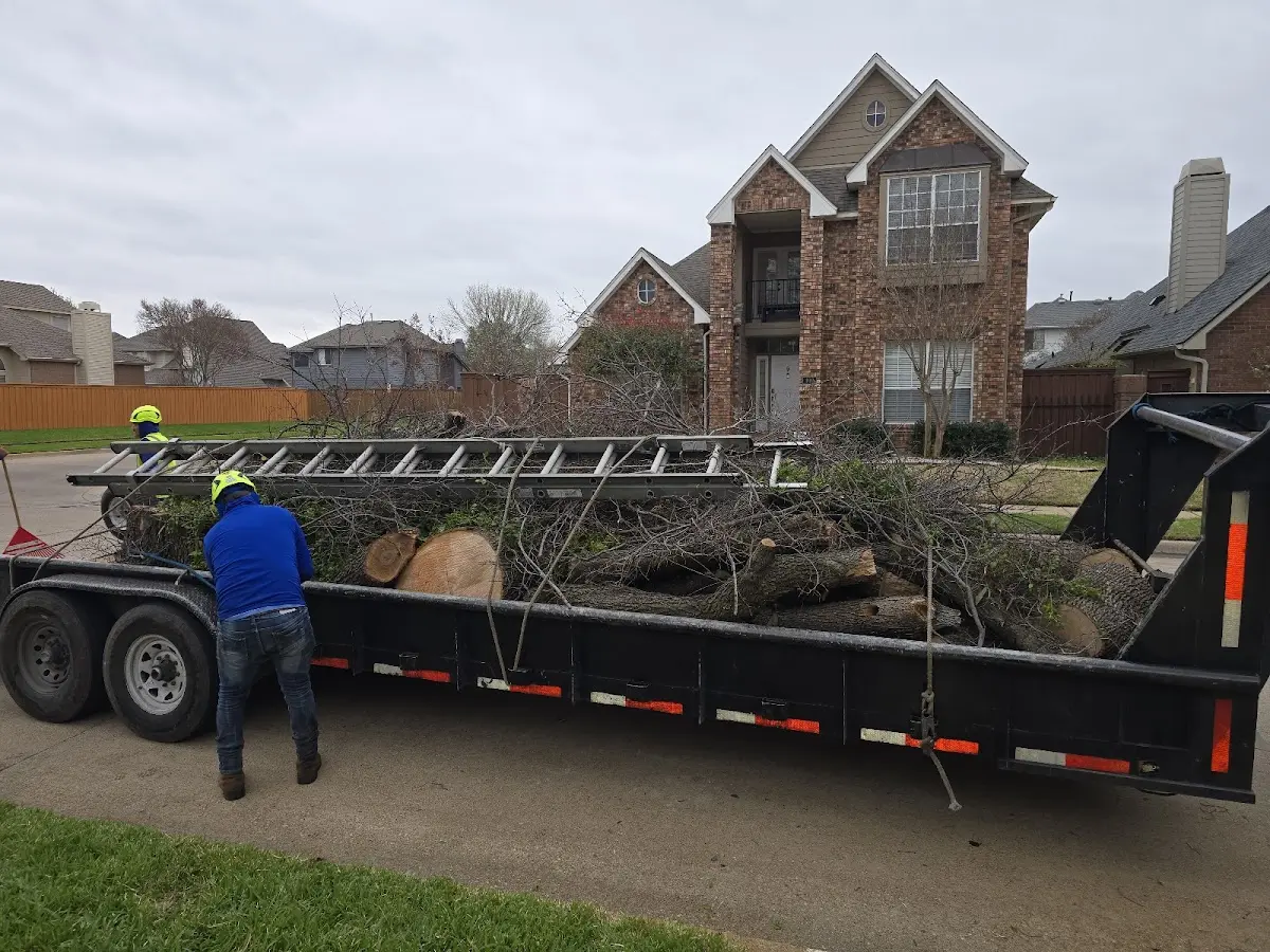 Expert Lot Clearing with proper safety equipment in Aberdeen